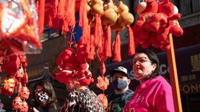 Runners hop, skip, jump and take to the street in year of the rabbit Chinatown run