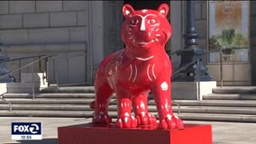 Artist behind year of the tiger statue shares her creative inspiration