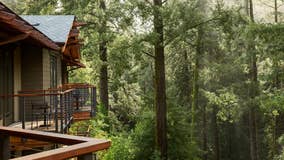 Salesforce sending employees to California redwoods to connect in-person