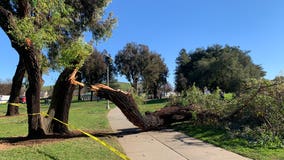 Wind advisory for parts of the Bay Area to last until Thursday