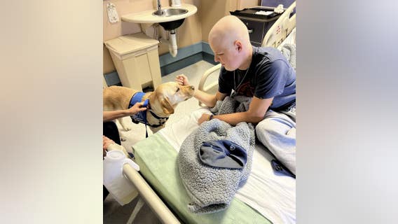 High school volunteers work on room makeover for Lafayette teen battling cancer