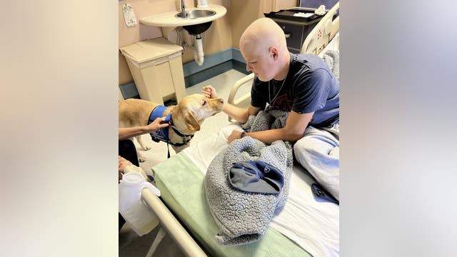 High school volunteers work on room makeover for Lafayette teen battling cancer