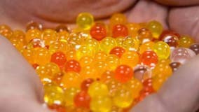 Teen arrested for allegedly shooting Orbeez gel balls at people