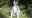 'Maki', San Francisco Zoo lemur kidnapped and recovered in 2020, dies at 22