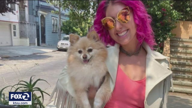 San Francisco bartender critically injured in hit-and-run