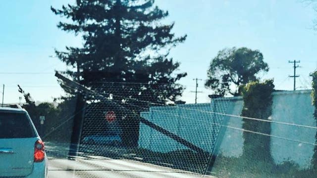 Wind downs power lines in Petaluma, ferry to Tiburon replaced by buses