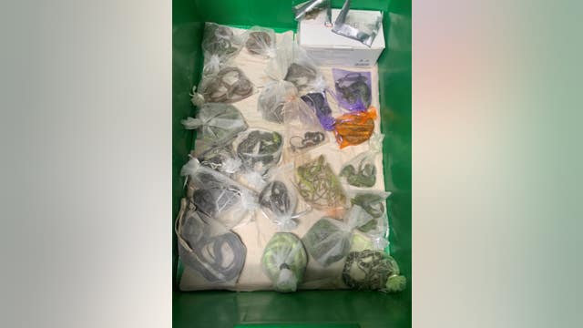 California man smuggled 1,700 reptiles from Mexico, Hong Kong