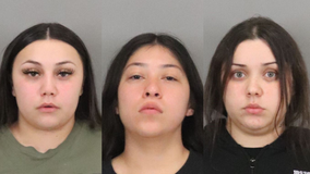 Alleged shoplifters use pepper spray, beat security during Palo Alto robbery