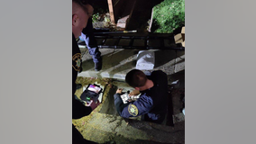 7 baby ducks rescued in Alameda County Sheriff's first drone rescue