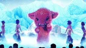 ‘The Masked Singer’ Baby Mammoth herded out of competition after surprising reveal