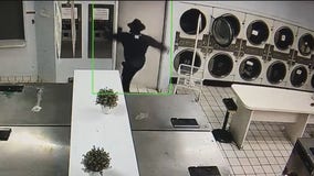 El Cerrito laundromat thief caught on video