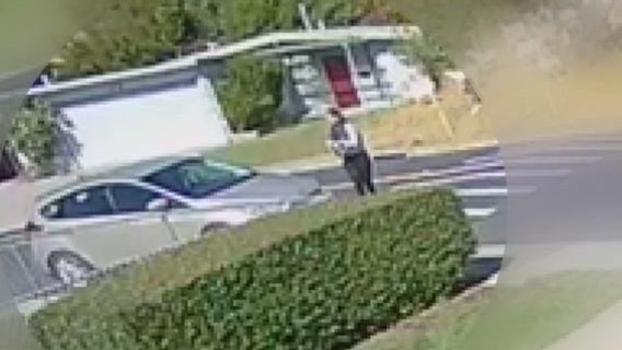 Video shows woman stealing baby goat from field in Pinole