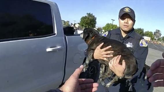San Jose police rushed animals at a neighboring pet hospital to safety during Home Depot fire