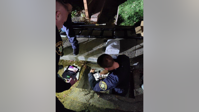 7 baby ducks rescued in Alameda County Sheriff's first drone rescue