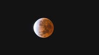 A near-total lunar eclipse will occur this week. How best to view it