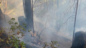 Fern Fire limited to small burn in Santa Cruz County
