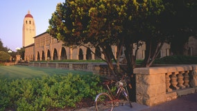 Stanford investigating noose found in tree as hate crime
