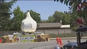 Loss of Gilroy Garlic Festival a financial hit for youth groups