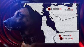 By the numbers: How often Bay Area police agencies deploy K-9s to bite