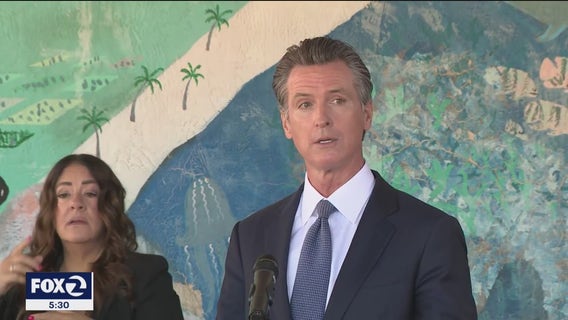 Nearly two dozen candidates hope to challenge Newsom in June primary