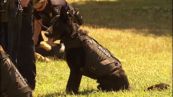 Graphic photos: Police K-9s cause serious injuries throughout the Bay Area