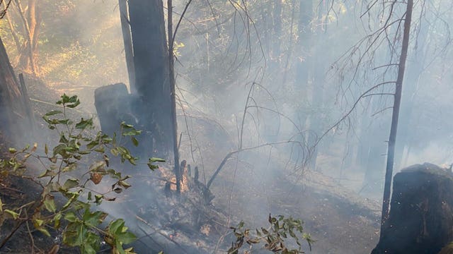 Fern Fire limited to small burn in Santa Cruz County