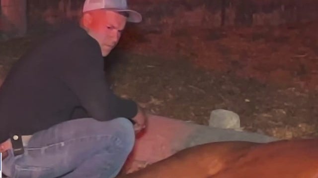 Drunk driver allegedly kills horse, injures rider in Contra Costa County