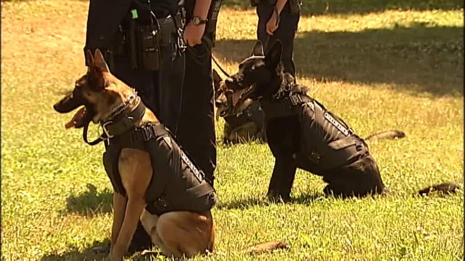 K-9s In Question: Bay Area Police Dogs Bite With Little Consequence ...