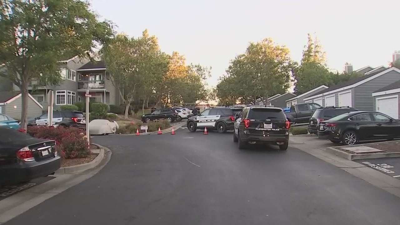 Pleasanton car owner exchanges gun fire with 2 suspects - Vimarsana News