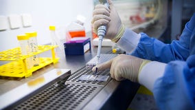 Stanford researcher tampered with cancer research after being fired, jury finds
