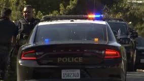 Carjacking suspects detained by police following East Bay pursuit