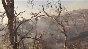 Containment grows on wildfire burning in Napa County