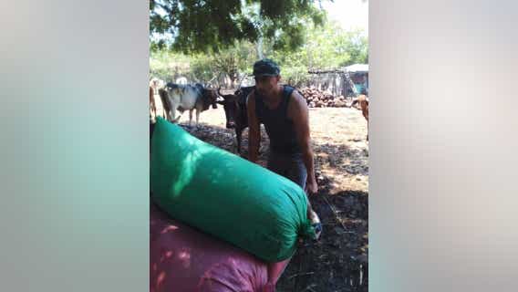 Alameda County public defender pleads to free man with gang tattoos from Salvadorian jail