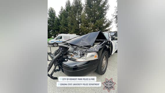 Sonoma County police chase enraged mother accused of driving drunk