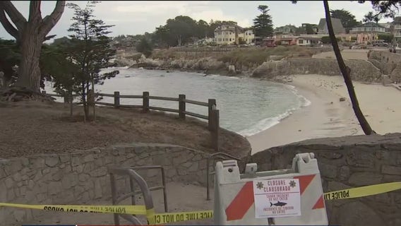 Northern California shark attack victim expected to recover