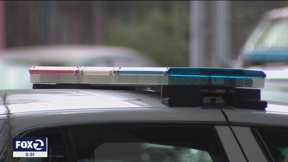 SFPD sergeant who died by suicide was ordered to surrender guns, sources say