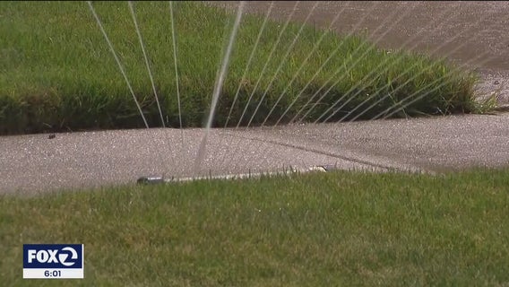 Mountain View orders water cutbacks but even tougher drought measures elsewhere in California