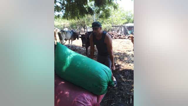 Alameda County public defender pleads to free man with gang tattoos from Salvadorian jail