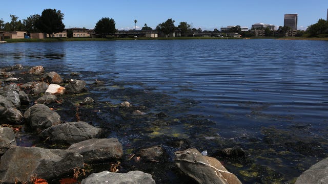 3 San Mateo County beaches among most polluted in California
