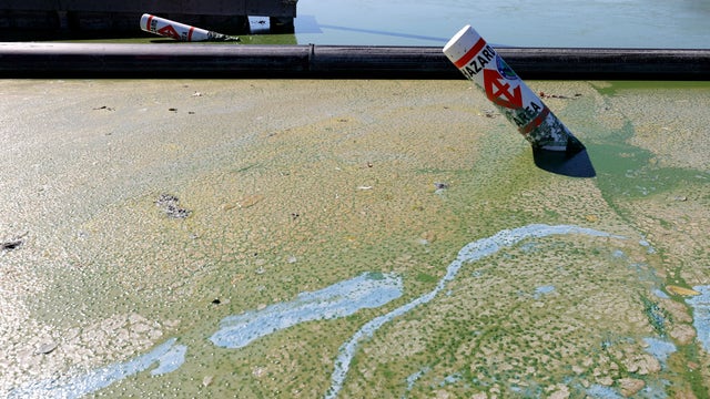 Contra Costa County warns of toxic algae blooms
