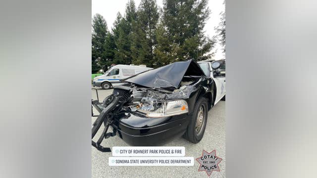 Sonoma County police chase enraged mother accused of driving drunk