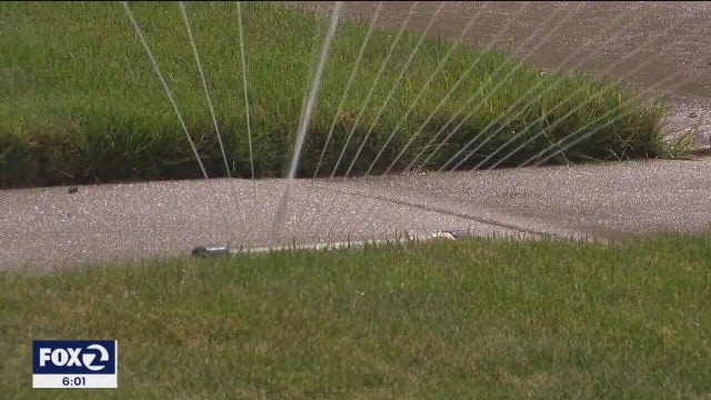 Mountain View orders water cutbacks but even tougher drought measures elsewhere in California