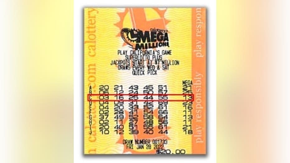 Screen-Shot-2022-06-09-at-11.24.40-AM.jpg
