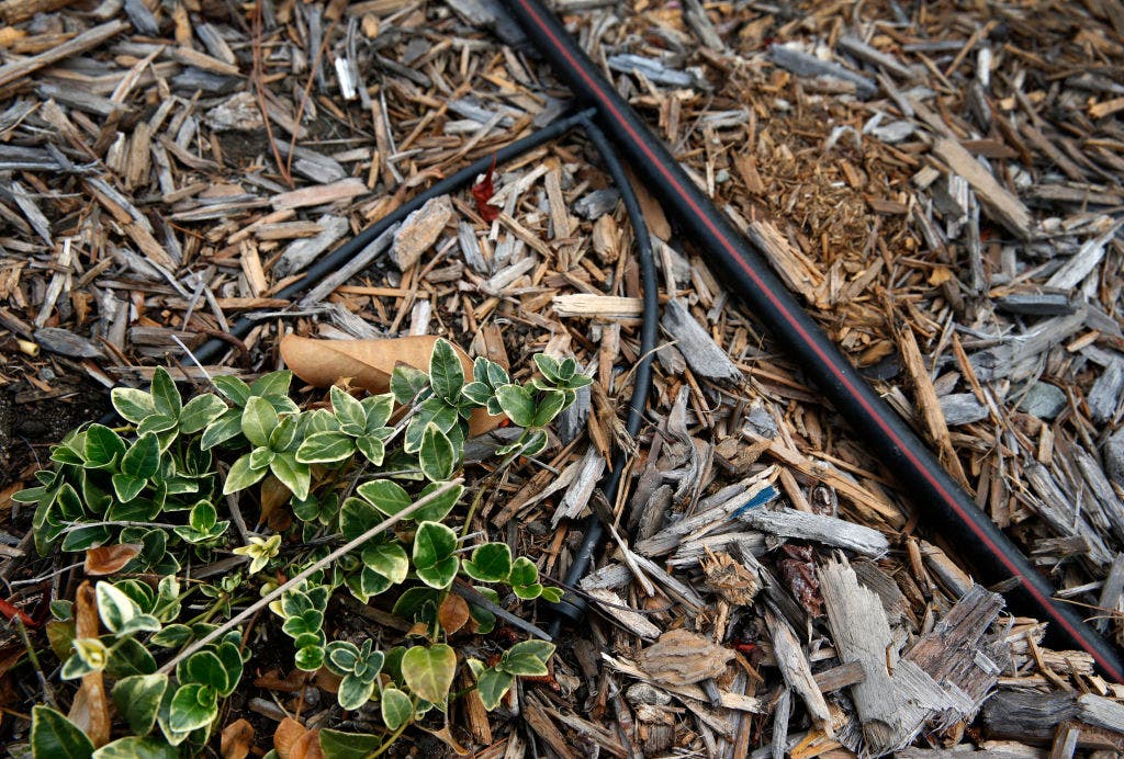 New Technique To Find Leaks