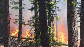Yosemite's Washburn fire threatens hundreds of giant sequoia trees