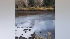 3,000 gallons of hazardous milk mixture spilled in Petaluma River