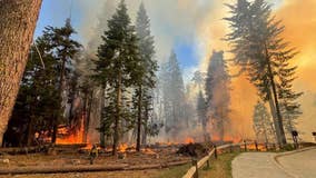 Yosemite fire grows, prompts Bay Area air quality advisory