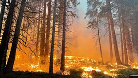 Washburn Fire containment drops at Yosemite