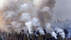 Washburn fire grows, leaving Yosemite's sequoias and nearby town in danger