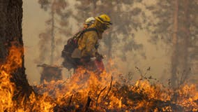 116 homes, other structures burned in wildfire near Yosemite